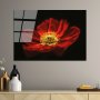 WALLXPERT Dekorativna slika od kaljenog stakla Cvetan cvet crvenog maka (UV 204) 70 x 100cm - slika 2