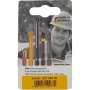 FELO Bit Industrial Pozidriv PZ3 x 25 02103036 2 kom u blisteru (02103036) - slika 3