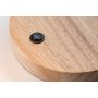 RABALUX Ferb 74002 stona lampa - slika 4