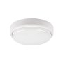 RABALUX Hort 7406 LED plafonska svetiljka - slika 2