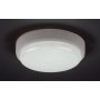 RABALUX Hort 7406 LED plafonska svetiljka - slika 4