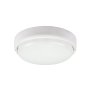 RABALUX Hort 7406 LED plafonska svetiljka - slika 1