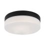 RABALUX Gaelo 75025 LED plafonjera - slika 2