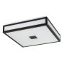 RABALUX Zoya 75031 LED plafonjera - slika 1