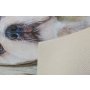 Conceptum Hypnose Tepih (80 x 150) KHMFESTO008KECE - slika 4