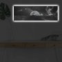 WALLXPERT Slika na platnu sa LED osvetljenjem 3090NASA 009 - slika 2