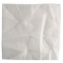 EINHELL Tekstilni filter – za DUO- INOX serije, 2351140 - slika 1