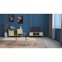 HANAH HOME TV polica Dz058 - slika 3