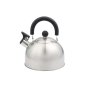 DAJAR DJ50886 ČAJNIK SA ZVIŽDUKOM 1,6 L INOX - slika 1