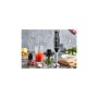 ZILAN ZLN5244 STAPNI MIKSER + SECKALICA 4 U 1 0,75L - slika 3