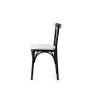 HANAH HOME Set 4 stolice Ekol 1334 V4 - slika 3
