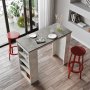 HANAH HOME Barski sto St1 Gt - slika 2