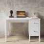 HANAH HOME Radni sto FRN 10036 - slika 2