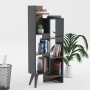 HANAH HOME Polica za knjige Lagomood Evren Anthracite Walnut - slika 1
