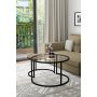 HANAH HOME Sto za dnevnu sobu Bora Transparent Antique Pine - slika 3