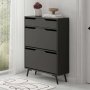 HANAH HOME Cipelarnik Astat Anthracite - slika 2