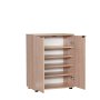 HANAH HOME Cipelarnik Shc 220 Ss 1 - slika 4