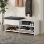 HANAH HOME Cipelarnik Filux Bench White - slika 4