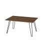 HANAH HOME Sto za dnevnu sobu Deren Walnut - slika 1