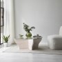 HANAH HOME Sto za dnevnu sobu Amphora White - slika 3