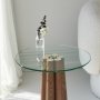HANAH HOME Sto za dnevnu sobu Thales Walnut Transparent - slika 5