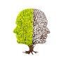 WALLXPERT Zidna dekoracija Green And Dry - slika 3