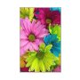 Conceptum Hypnose Tepih (50 x 80) WOOKECE070 - slika 1