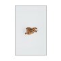 Conceptum Hypnose Tepih (50 x 80) WOOKECE086 - slika 1