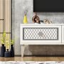 HANAH HOME TV polica Arel White Silver - slika 4