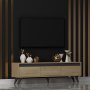 HANAH HOME TV polica Century Sapphire Oak - slika 2
