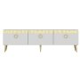 HANAH HOME TV polica Safar White - slika 5