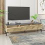 HANAH HOME TV polica Artemis Sapphire Oak Anthracite - slika 5