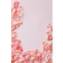 Conceptum Hypnose Tepih (60 x 100) WOOKECE080 - slika 3