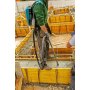 MAKITA Akumulatorski vibrator za beton (VR003CZ) - slika 2