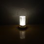 ELEMENTA Stona LED lampa YW13173-3381 - slika 4