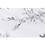 L`ESSENTIEL MAISON Ranforce posteljina (200x200) Cicory White - slika 5