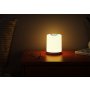 RABALUX Tipy 74209 LED stona lampa - slika 2