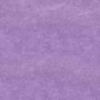 Conceptum Hypnose Tepih (50 x 80) Wookece1254 - slika 3