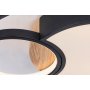 RABALUX Leola 71044 LED plafonjera - slika 5