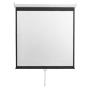 S BOX PSM 100 - 2 Platno za projektor - slika 1