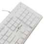 WHITE SHARK GK 003241 Tachi White US tastatura - slika 2