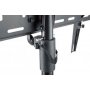 MANHATTAN Nosač za TV tripod 461412 37''-70'' cene - slika 4