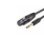 UGREEN AV131 kabl za mikrofon 6.35mm M na XLR - slika 1