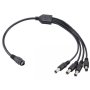CERBERUS Konektor DC(M) 12V razdelnik 1-4 - slika 1