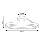 RABALUX Isaure 71302 LED plafonjera - slika 3
