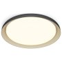 PHILIPS Pebblo UE SS 10W 27K plafonjera crna - slika 2
