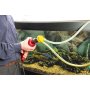 EINHELL KWB 49506100 MINI Pumpa za pretakanje P 61, za bušilice sa vratom 43mm, 1/2'' - slika 2