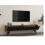HOME LINE Alberi - slika 4