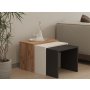 HOME LINE Set stolova Gul Atlantic Pine White Anthracite - slika 1