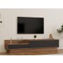 HOME LINE TV polica Asir Atlantic Pine Anthracite - slika 2